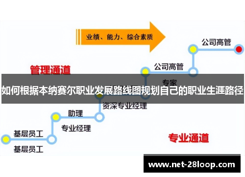 如何根据本纳赛尔职业发展路线图规划自己的职业生涯路径